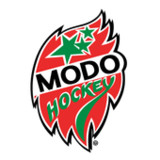 MoDo Hockey2.4_rowtechapk.com
