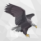 Karakartal - Beşiktaş haberleri & Canlı Skor4.22.60_rowtechapk.com