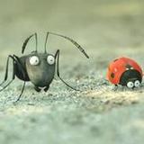 King Ant and friends1.7.0_rowtechapk.com