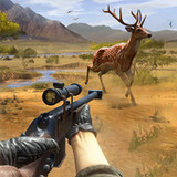 Deer Hunting- Wild Deer Hunter1.7_rowtechapk.com
