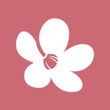 Chula - Belleza sin límites4.0_rowtechapk.com