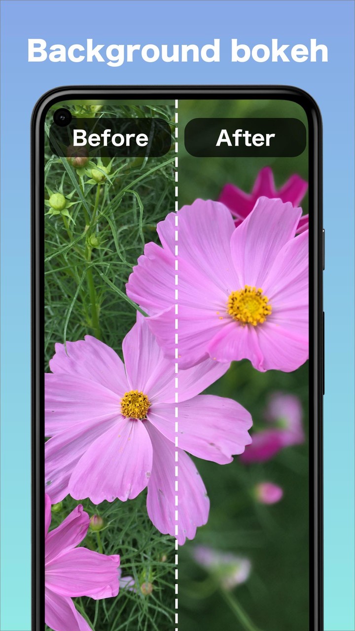 Falper SR - Enhance Images screenshot image 10_Popularmodapk.com