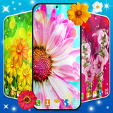 Spring Flowers Live Wallpaper6.9.2_rowtechapk.com