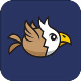 High Birds - Arcade Shooting A1.0.1_rowtechapk.com