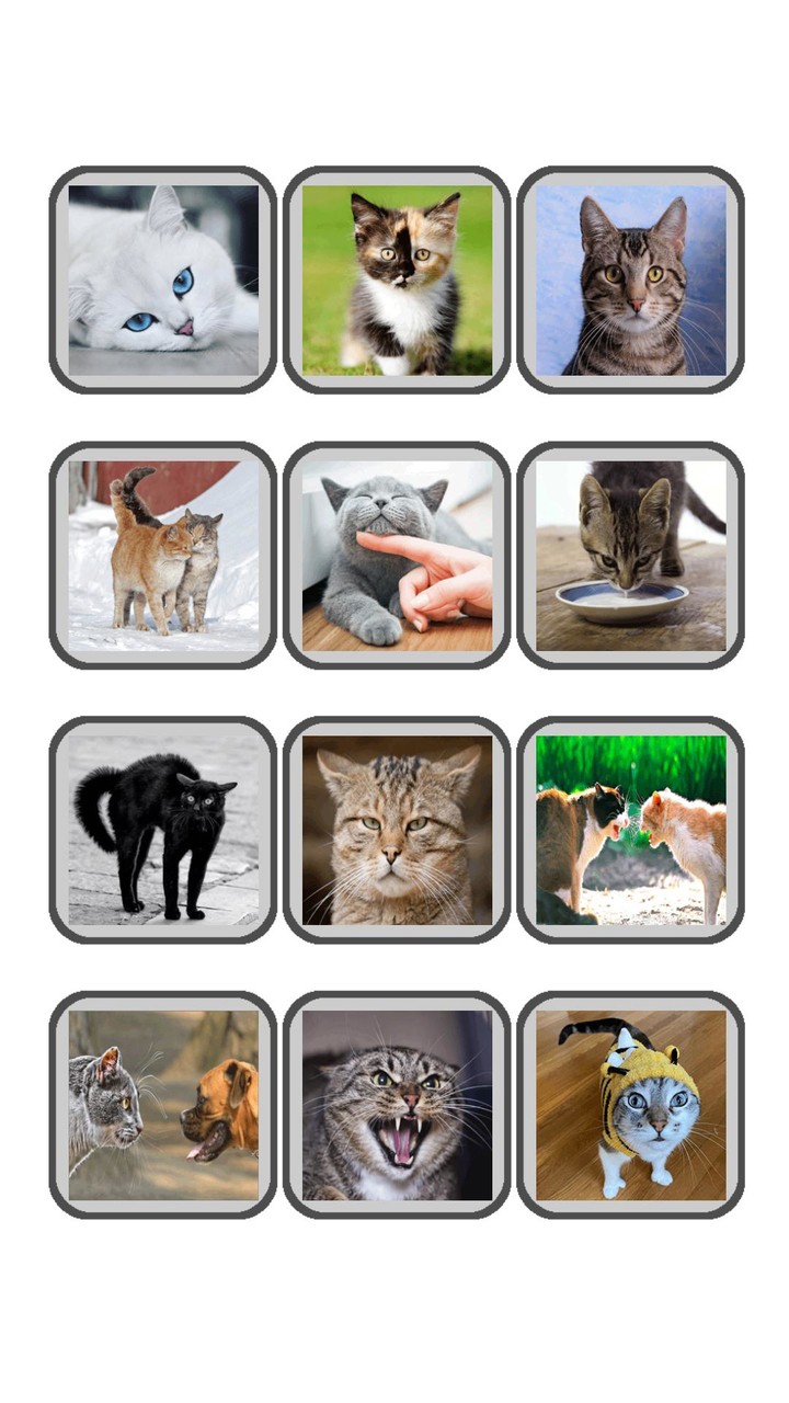 Переводчик для кошек и котов screenshot image 6_Popularmodapk.com