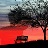 Sad Poetry, Urdu Shayari1.5_rowtechapk.com