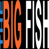 The Big Fish10.1_rowtechapk.com
