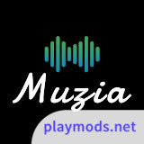 Muzia: Music on Display<span>(Pro Unlocked)</span>1.3.0_rowtechapk.com