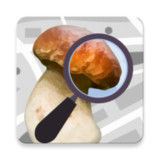 Mushroom Identificator2.82_rowtechapk.com