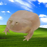 Wednesday OS1.69.420.2_rowtechapk.com