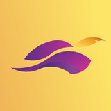 Robinhood Rider2.5.14_rowtechapk.com