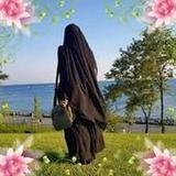 رواية وتبسمت ذات النقاب1.1_rowtechapk.com