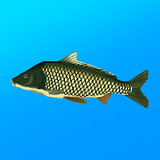 True Fishing. Simulator<span>(Unlock full content)</span>1.18.0.868_rowtechapk.com