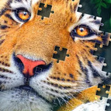 Jigsaw Puzzles Classic11_rowtechapk.com