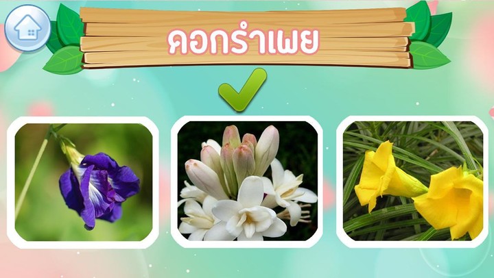 เกมส์ทายชื่อดอกไม้ไทย 2566 screenshot image 3_Popularmodapk.com