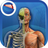 The Human Body1.0_rowtechapk.com