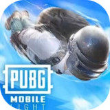 PUBG MOBILE LIGHT4.6.0_rowtechapk.com