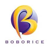 Boborice1.2.41_rowtechapk.com
