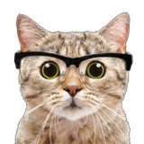 isMaps1.1.9.4_rowtechapk.com