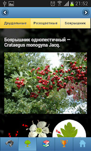 WASticker Birthday Stickers screenshot image 6_Popularmodapk.com