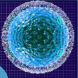 Cell Laboratory<span>(No Ads)</span>1.00.30-patreon_rowtechapk.com