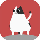 The cat fell down1.1.1_rowtechapk.com