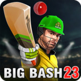 Aussie Cricket Championship2.4_rowtechapk.com