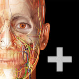 Human Anatomy Atlas 2022＋1.01.014_rowtechapk.com