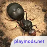 The Ants: Underground Kingdom<span>(No Ads)</span>3.44.0_rowtechapk.com