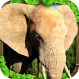 Elephant Simulator<span>(Unlimited money)</span>1.2_rowtechapk.com