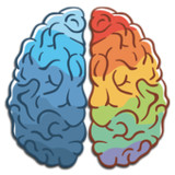 Bilgi Yarışması - Zeka Oyunu1_rowtechapk.com