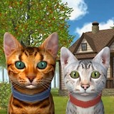 Cat Simulator 2020<span>(Unlimited Coins)</span>1.10_rowtechapk.com