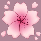 AkademiSimulator<span>(NO ADS)</span>1.0_rowtechapk.com