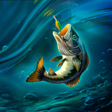 Rapala Fishing0.6.8142_rowtechapk.com