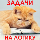 1000 и одна задача на логику.1.96_rowtechapk.com