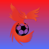 COSEKA - Pour les fans de foot1.0.2_rowtechapk.com