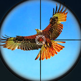 Birds Hunting Sniper Shooting1.0_rowtechapk.com