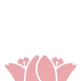 SAKURA1.0.0_rowtechapk.com