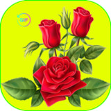 Flowers And Roses Images GIFs1.0_rowtechapk.com