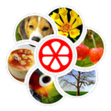 Word Rings1.0.6_rowtechapk.com