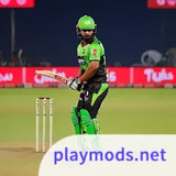 Pakistan T20 Cricket Games 3D<span>(No Ads)</span>0.4_rowtechapk.com