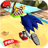 Pro Blue Hedgehog - Ultimate Adventure1.0.0_rowtechapk.com