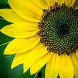 1 word4.1_rowtechapk.com