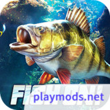 Fish On!<span>(Speed change)</span>1.0.0.42961_rowtechapk.com
