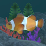 Swim in touch! SeaCreatures1.2_rowtechapk.com