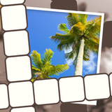 Picture Perfect Crossword3.5.8_rowtechapk.com