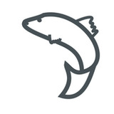 Järvikala1.0.6_rowtechapk.com