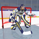 Hockey Game Stars 3D0.52.0_rowtechapk.com
