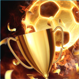 Sport Fire3.0_rowtechapk.com