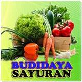 Budidaya Buah dan Sayuran1.5_rowtechapk.com